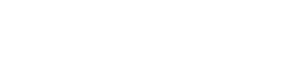 logo not found